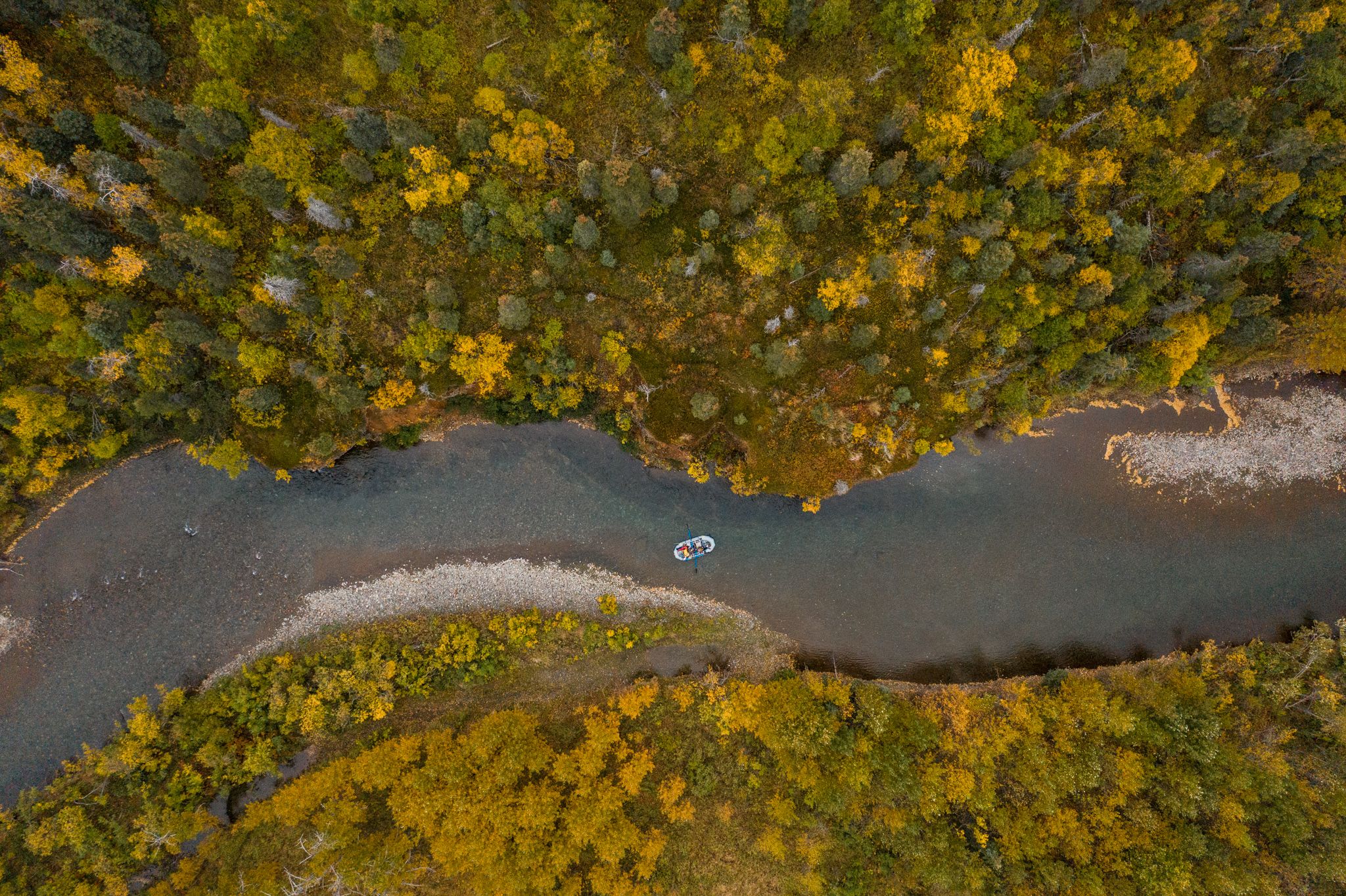 fall colors on alaskan rivers
