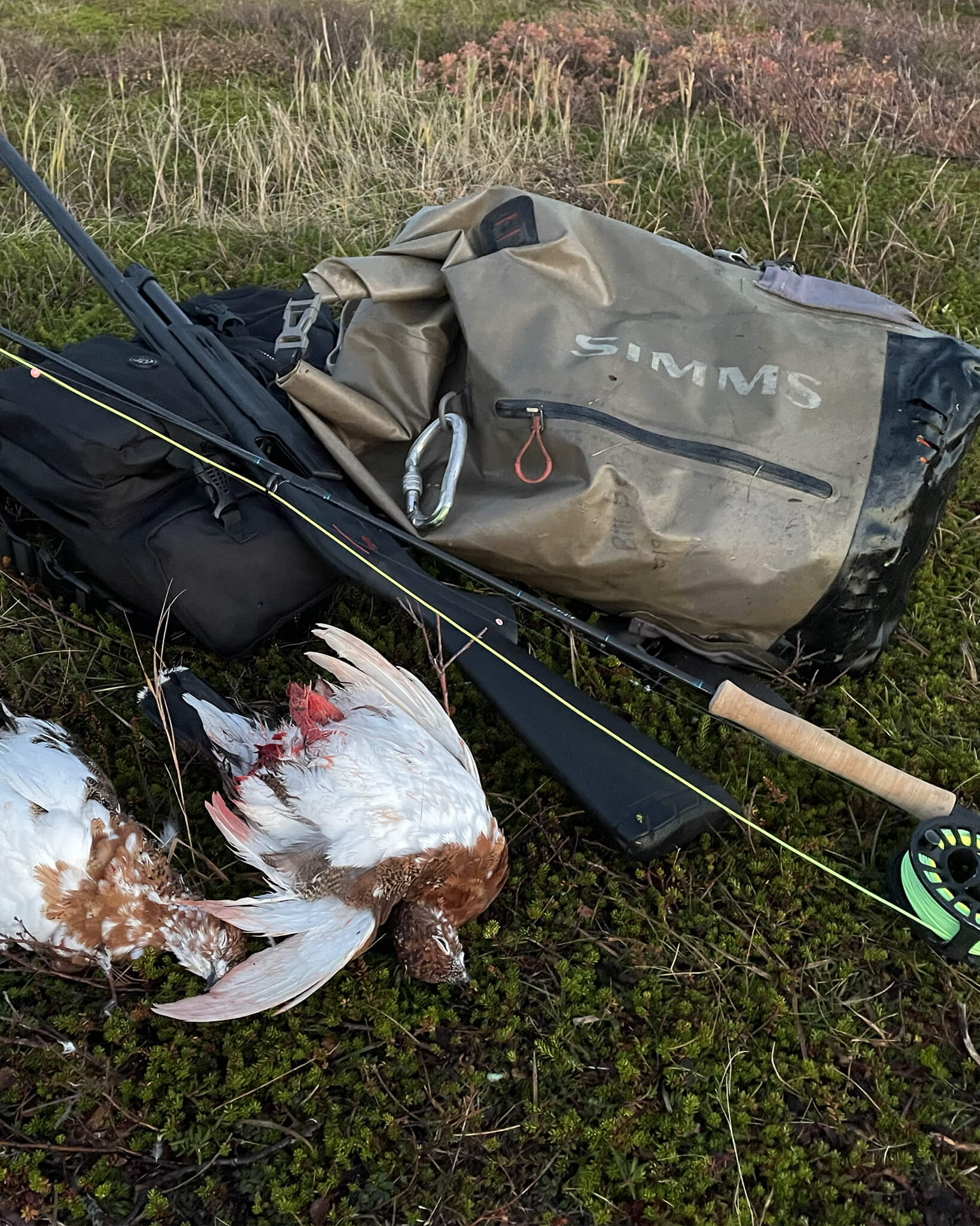 birds-fishing-alaska